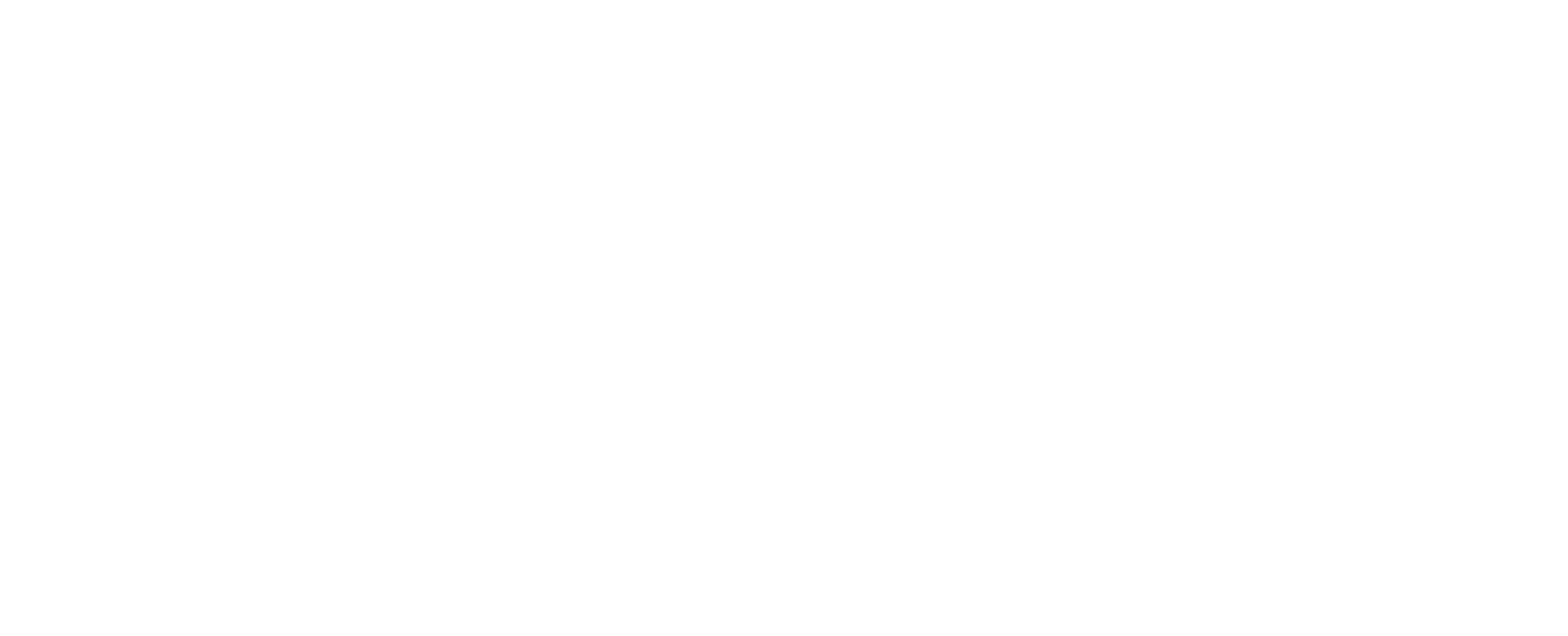 SotaFlame white horizontal logo on transparent background.
